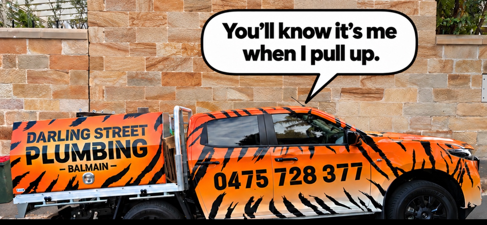 Darling Street Plumbing tiger-striped ute — you'll know it's me when I pull up